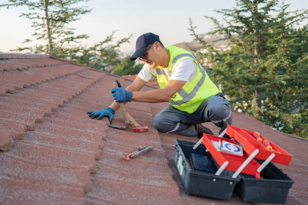 Best Storm Damage Roof Repair  in Downers Grove, IL