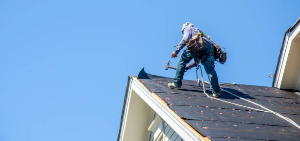 Professional Roofing Contractor in Downers Grove, IL